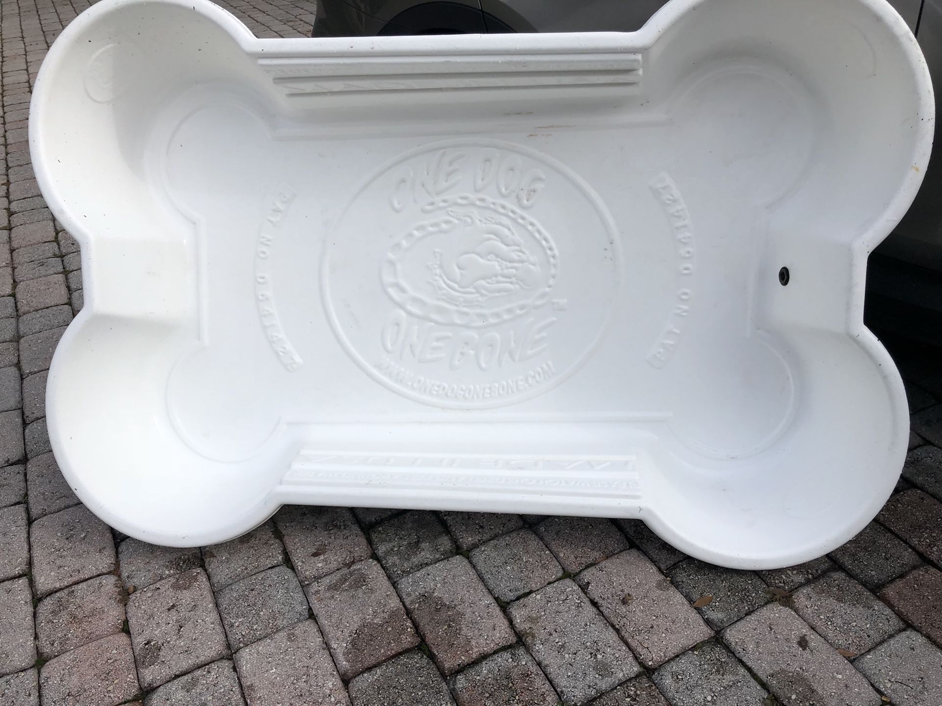 One Dog One Bone dog pool