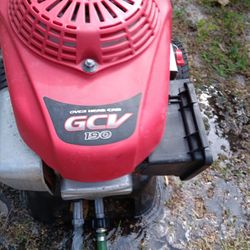 Pressure Washer 