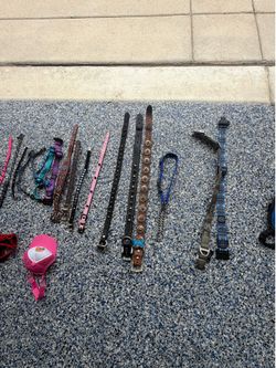 Dog Harnesses leashes and collars