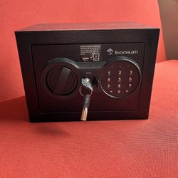 Small Safe New 