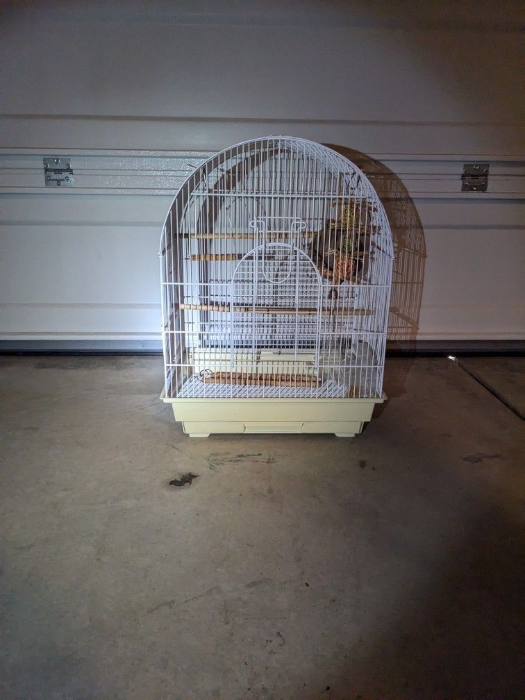 Bird Cage