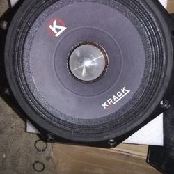 8in Speaker