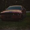Shelby