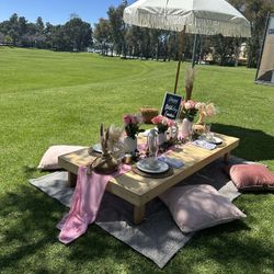 Beach/park Picnic