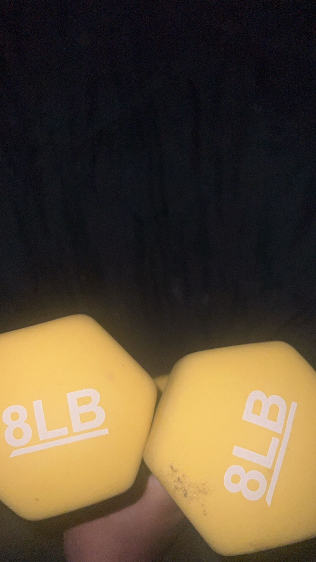Dumbbells- 8Lbs Each