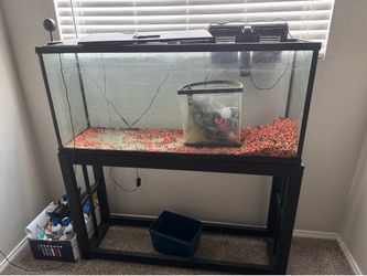 Fish tank with stand