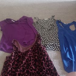 Clothing Bundle -xs-s (Shirts/blouses) - 12 Pieces Total