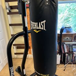Everlast dual punching bag station with gloves