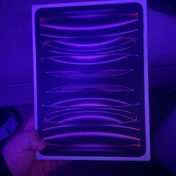 iPad Pro   11 Inch Screen 