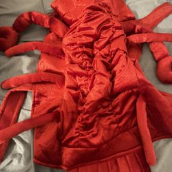 crab dog costume 