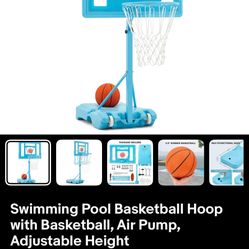 Pool Basketball Court
