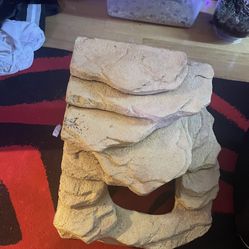 Reptile Cave