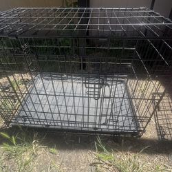 Dog Cage
