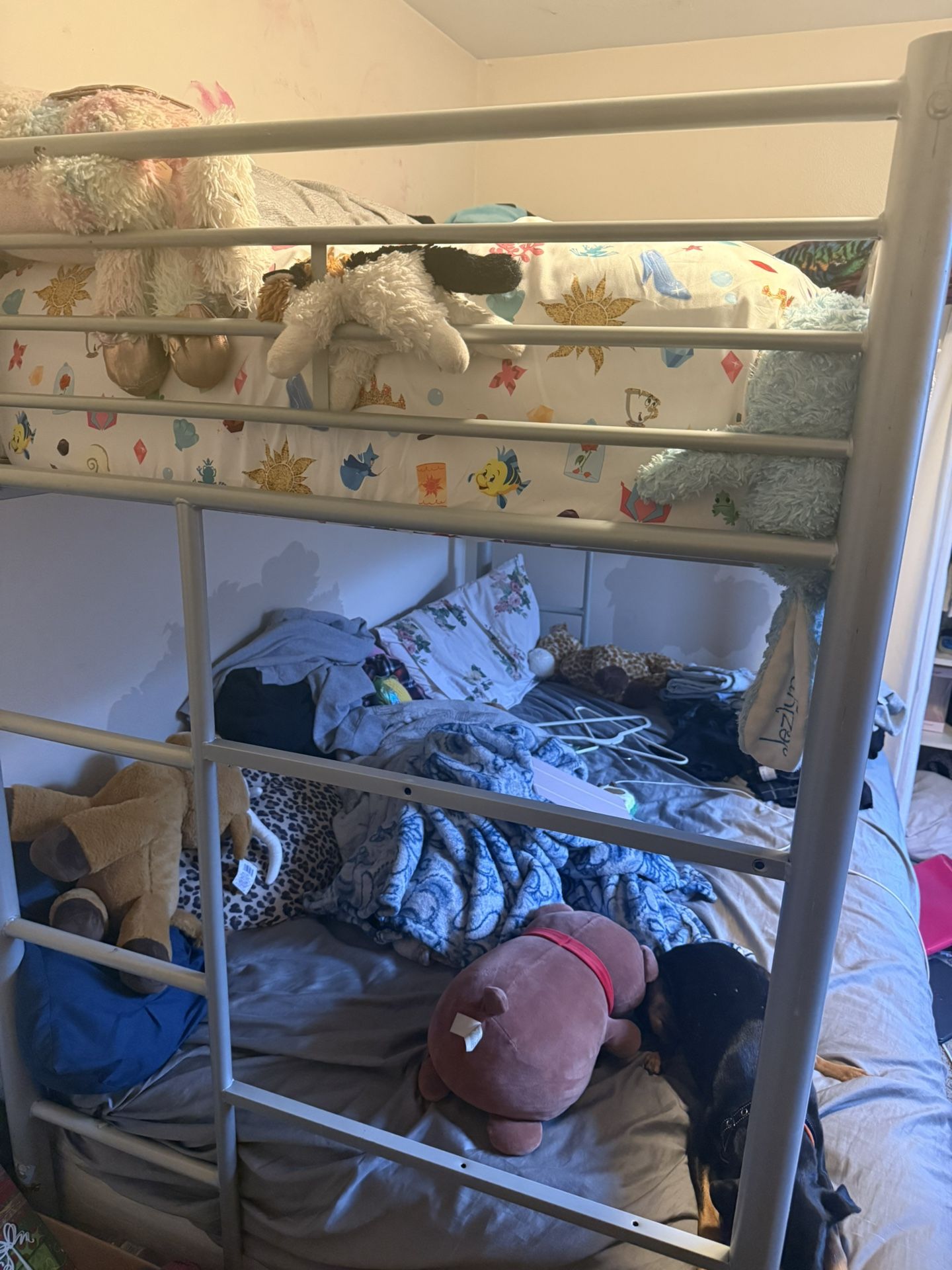 Metal Loft Bed