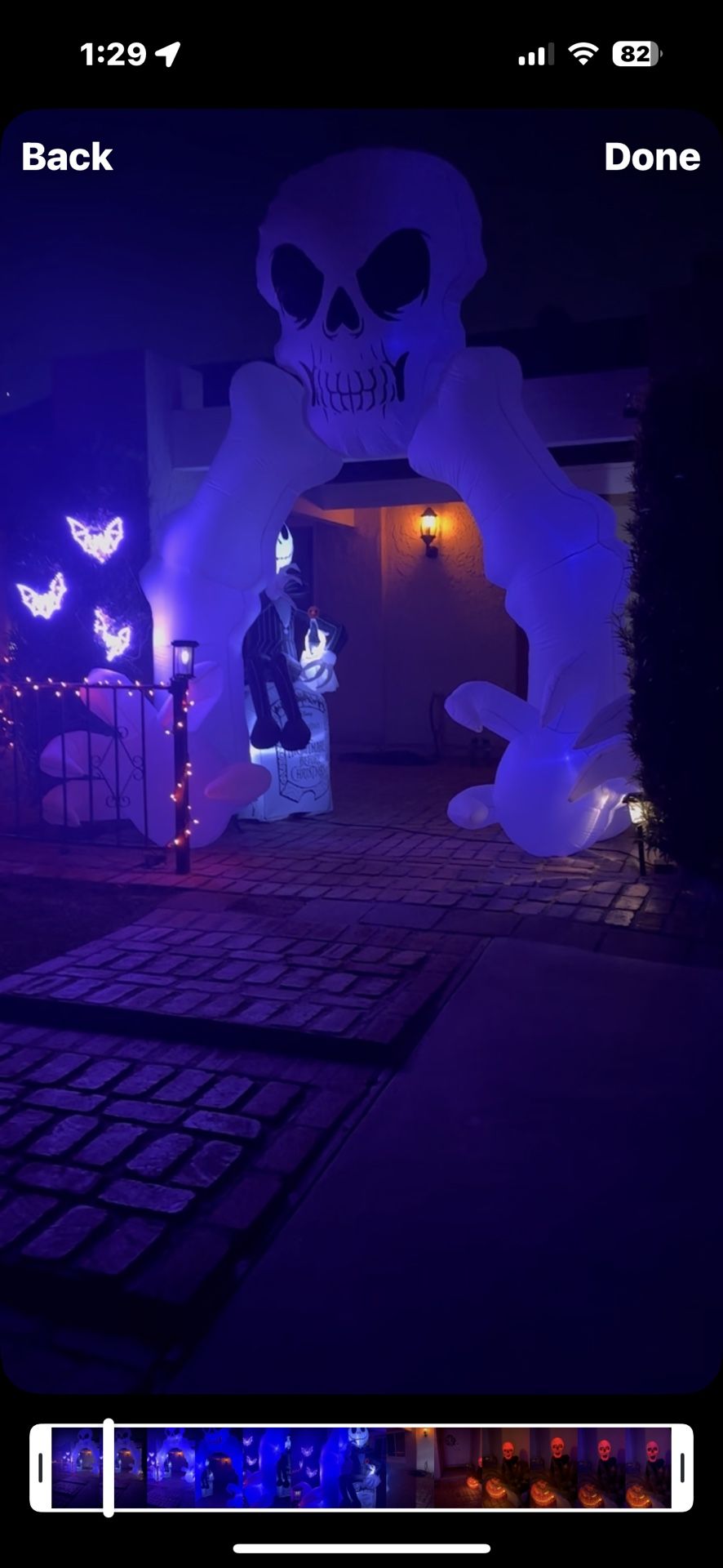 Halloween Skeleton Archway