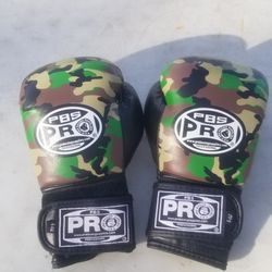 PRO BOXING SERIES DELUXE BOXING GLOVES SIZE 5 YOUTH(6 OZ) 