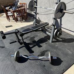 Benchpress + Weights & Curlbar