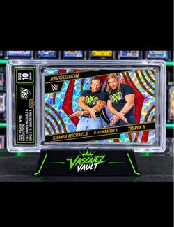 2022 Panini WWE Revolution D-Generation X Card GSG 10