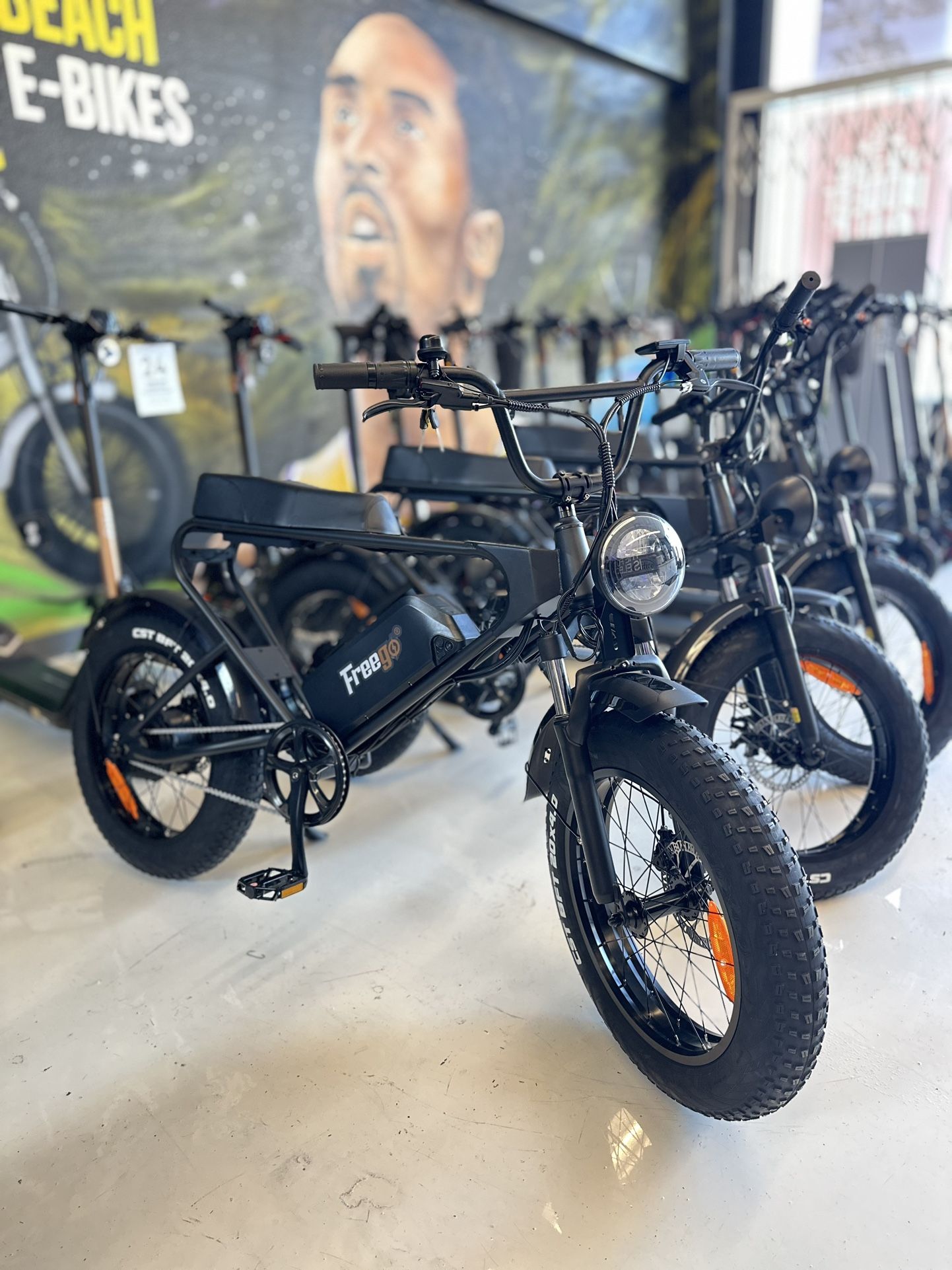 New FREEGO ELECTRIC BIKES! Year Warranty/ Easy Payment