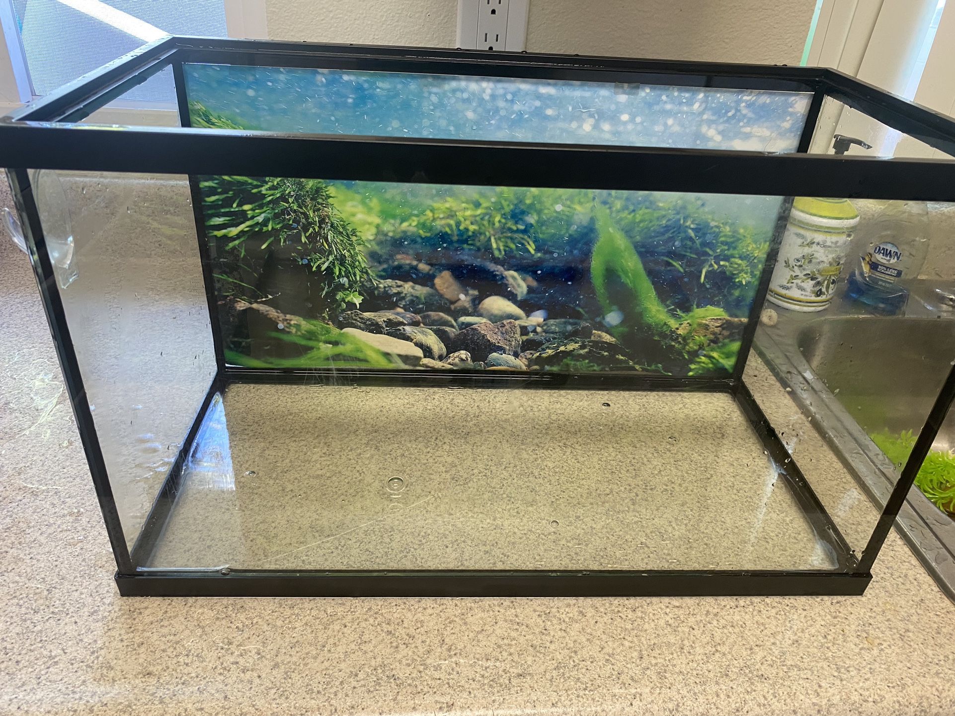 10 Gallon Fish Tank 