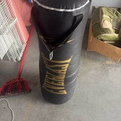 everest 80 lb heavy bag great condition 