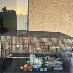 Very Large Bird Cage With Toys 