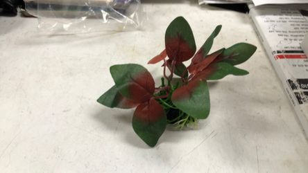 Plastic Plant 