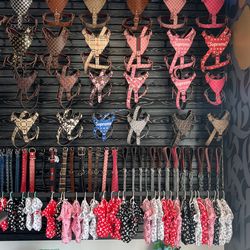 DOG DESIGNER HARNESS SET