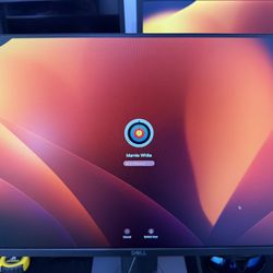P24 Dell Monitor 