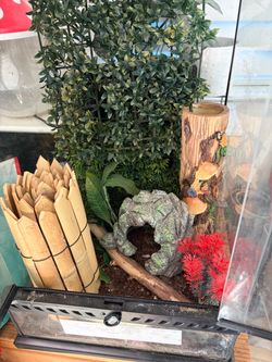 Exo Terra Reptile Terrarium with Decor and Accessories