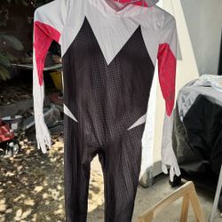 Costume Ghost Spider 