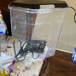 Fish Tank 