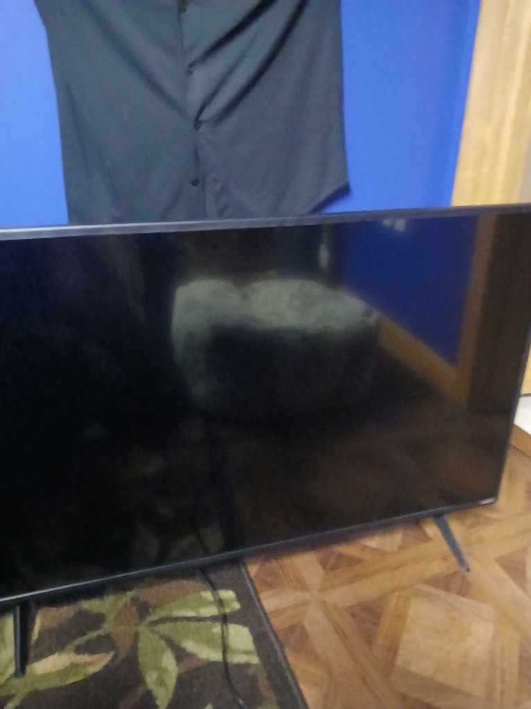 Vizio 43 In. Smart Tv