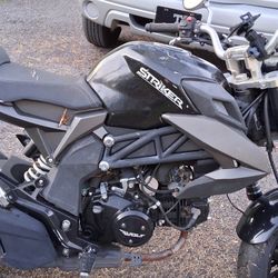 Striker Wolf 125 Bick 