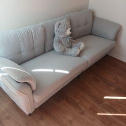 Brand New Couch