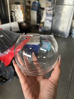 Fish Bowls 