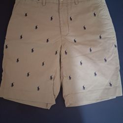 36 Brown Polo Shorts Men's
