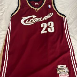 Lebron James Jersey 