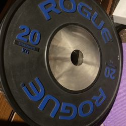 Pair Of 20 KG (45 Lb) Rogue Training Olympic Bumper Plates
