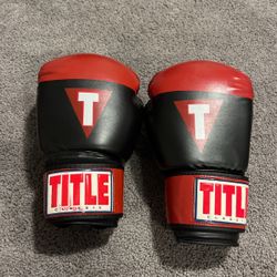 Adult Classic Boxing Gloves