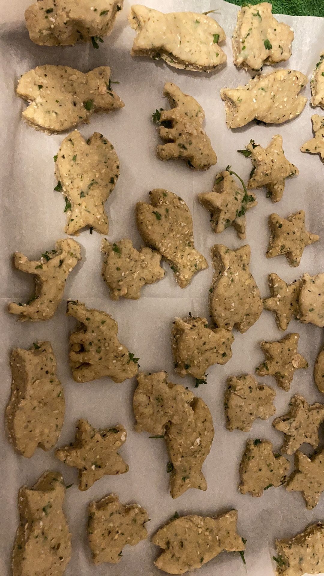 Dog Treats