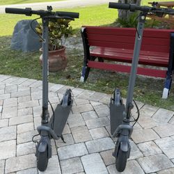 Adult Electric Scooters