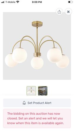 Brand New Light Fixture 