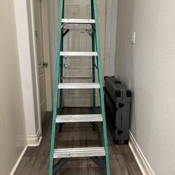 Werner Ladder 6ft
