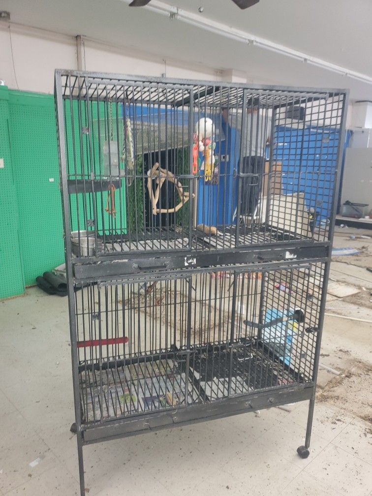 Big Bird Cage
