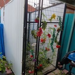 Big kennel for dogs only the kennel not the casges inside  it comes with three aluminum sides and the bolts and screws for the frontt door $200