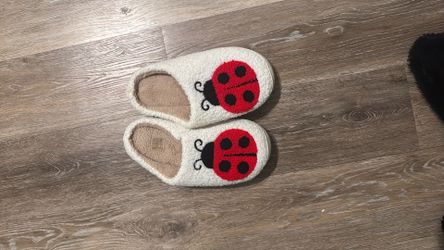 Ladybug Slippers