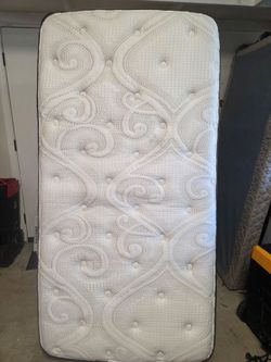 twin xl mattress  adult and box spring