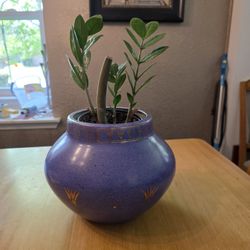 Vintage Home Decor - Art Deco - Ecco Nova - Cobalt Blue Medieval Monarch Pattern Vase / Planter