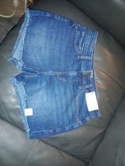 Women's Shorts Size 8